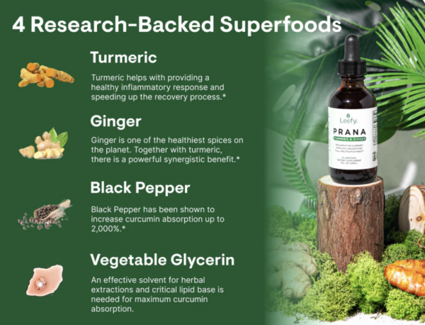 Leefy Organics: Superfood Tinctures - Image 2